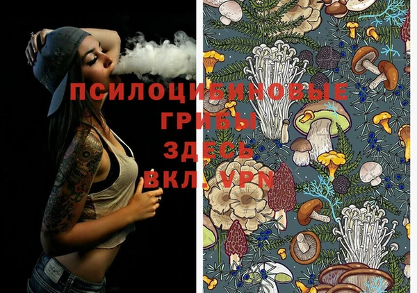 ПСИЛОЦИБИНОВЫЕ ГРИБЫ Дмитровск