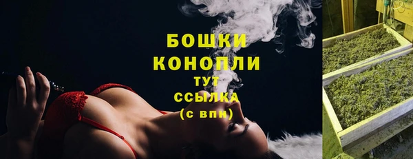 молекула духа Дмитриев