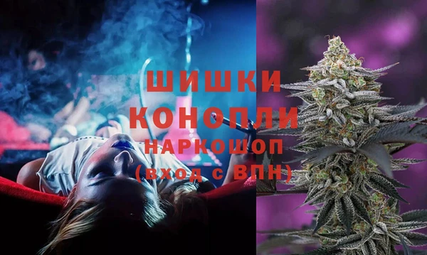 молекула духа Дмитриев