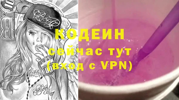 молекула духа Дмитриев