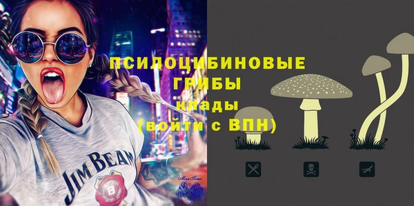 молекула духа Дмитриев